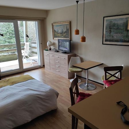 Residence Le Faucon - Col Du Donon Grandfontaine  Dış mekan fotoğraf